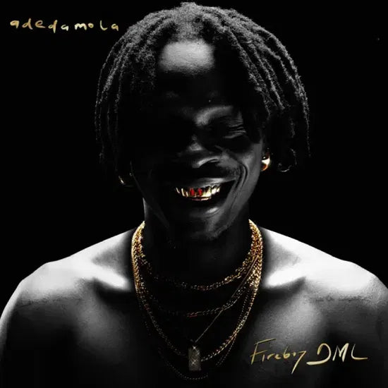 Fireboy DML: Adedemola lp