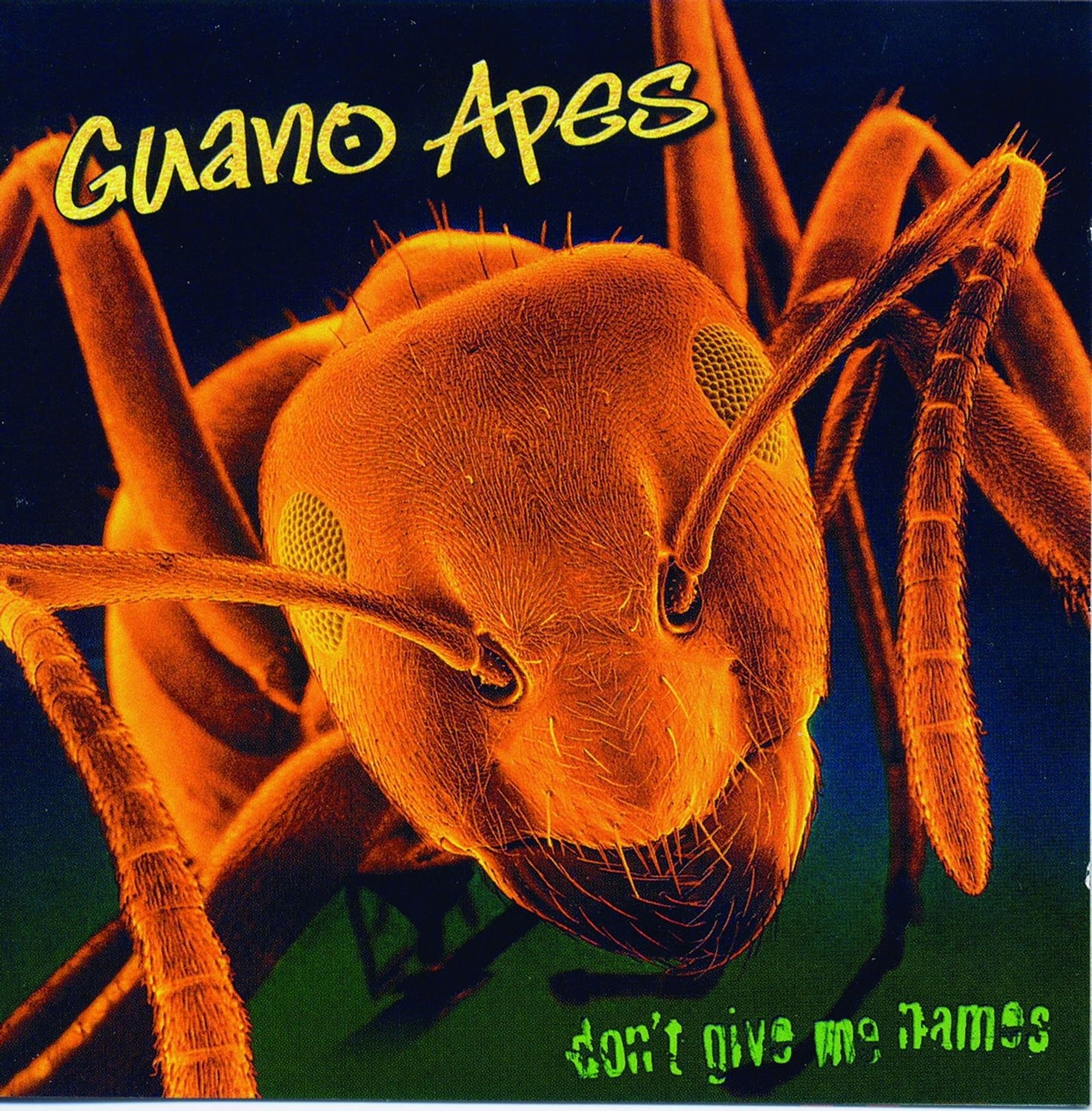 Guano Apes: Don't Give Me Names lp