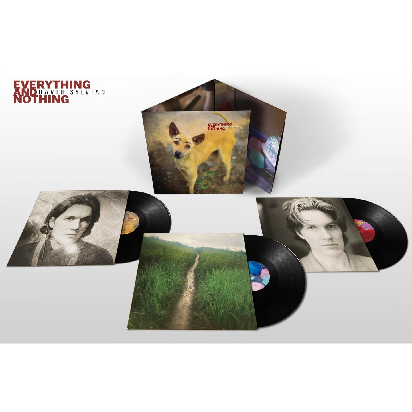 David Sylvian: Everything & Nothing 3lp