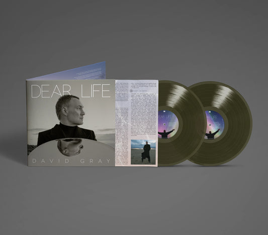 David Gray : DEAR LIFE (Vinyle vert algue)