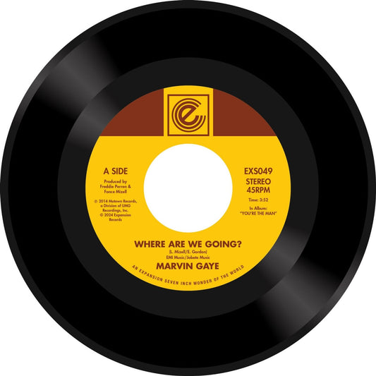 Marvin Gaye: Where Are We Going? / Woman Of The World 7"