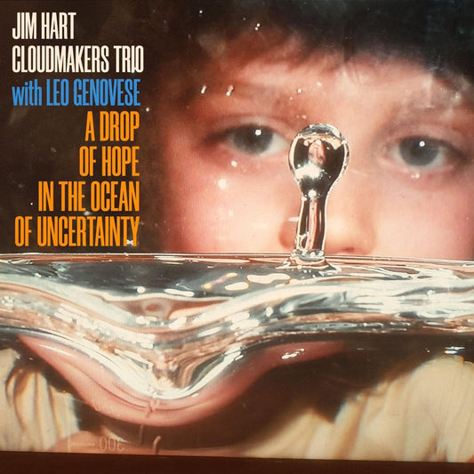 Jim Hart & Leo Genovese: A Drop Of Hope In The Ocean Of Uncertainty 2lp