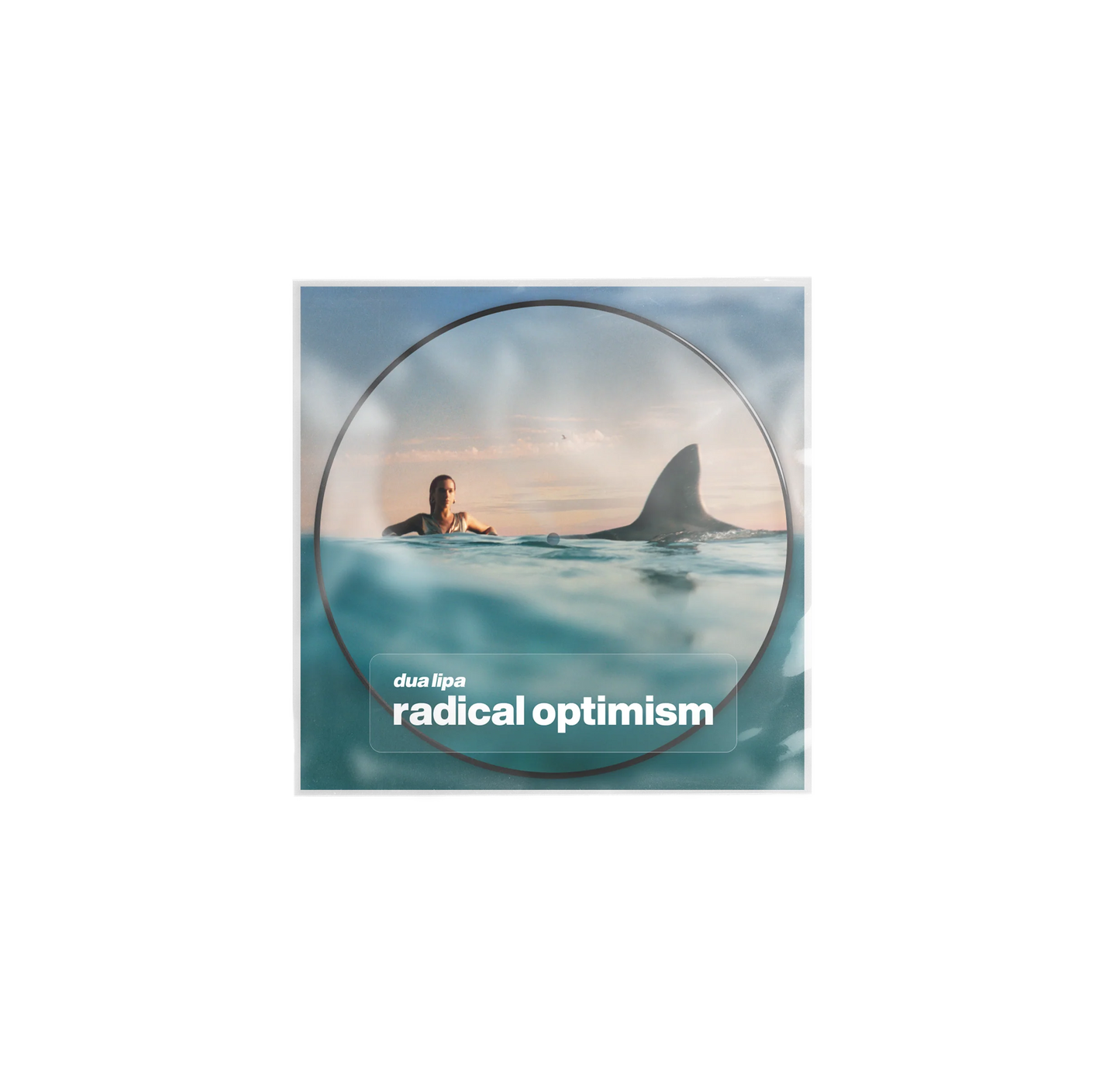 Dua Lipa - Disque d'images Radical Optimism importé du Royaume-Uni