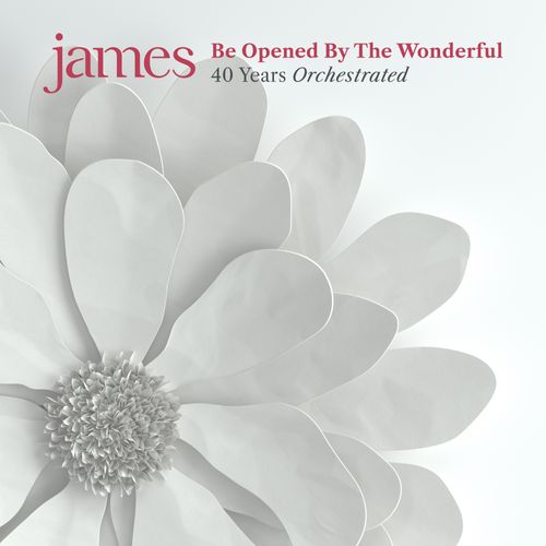 James - Be opened by the wonderful 2lp blanco